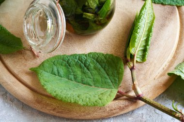Arka planda bitkisel bir tentür kavanozu ile bir masanın üzerinde Japon düğüm dalı