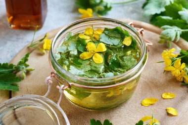 Chelidonium 'un hazırlanması ya da taze tetterwort yaprakları ve çiçeklerden elde edilen daha büyük celandin tentürü.