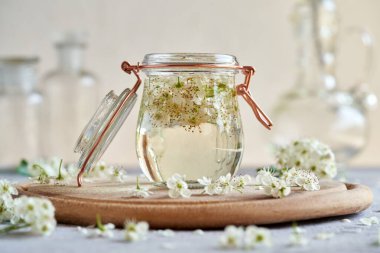 Taze dikenli çiçek ve alkolle dolu bir kavanoz, kalbe ev yapımı bitkisel tentür hazırlamak için.