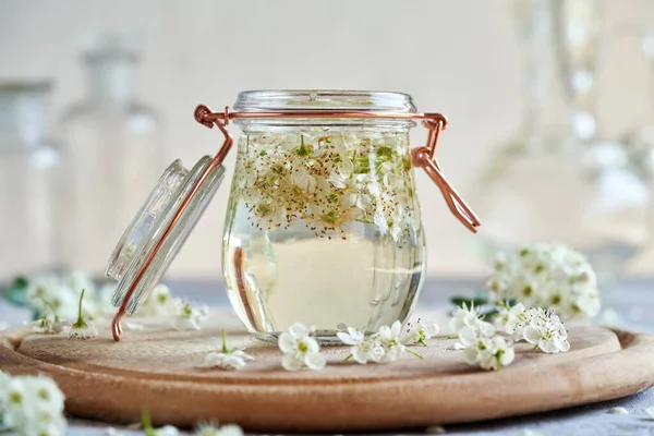 Glass Jar Filled Fresh Hawthorn Flowers Alcohol Prepare Herbal Tincture —  Fotos de Stock
