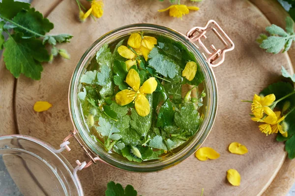 Preparation Tetterwort Greater Celandine Tincture Glass Jar Top View — стоковое фото