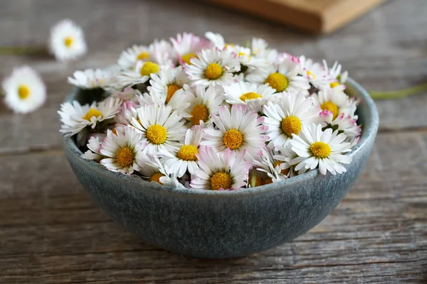 Common Daisy Flowers Blue Bowl Wooden Table - Stock-foto