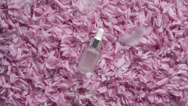Pink Kwanzan Cherry Blossom Petals Falling Bottle Aromatherapy Essential Oil — стоковое видео