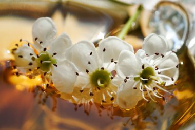 Taze dikenli çiçekleri bir fincan bitkisel çaya yakın çekim. Alternatif tıp.
