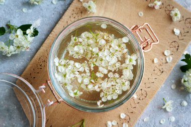 Taze dikenli çiçek ve alkolden kalp için ev yapımı bitkisel tentürlerin hazırlanması.