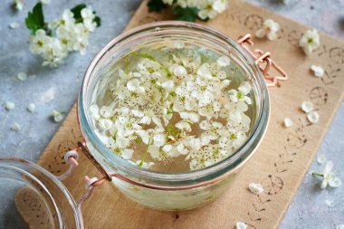 Taze alıç çiçek ve bitki tentür hazırlamak için alkol dolu bir kavanoz