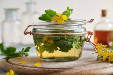 Masadaki cam kavanozda tetterwort ya da daha büyük celandin tabakası hazırlama