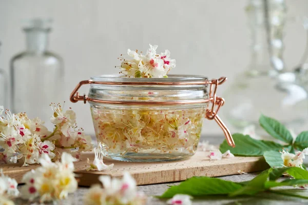Preparation Homemade Herbal Tincture Fresh Horse Chestnut Flowers Glass Jar — 스톡 사진