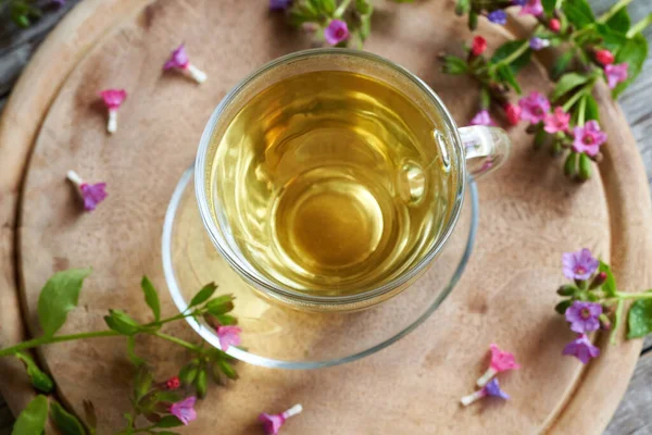 Bir fincan taze akciğerli bitki çayı ya da masaya akciğer bitkisi.