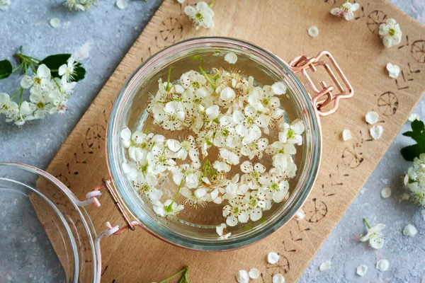 Taze dikenli çiçek ve alkolden kalp için ev yapımı bitkisel tentürlerin hazırlanması.