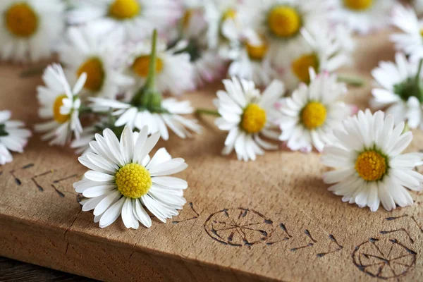 Closeup Fresh Common Daisy Bellis Perennis Flowers Wooden Cutting Board — 스톡 사진