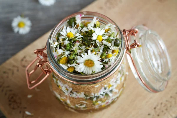 Preparation Herbal Syrup Fresh Common Daisy Bellis Perennis Flowers Cane - Stock-foto