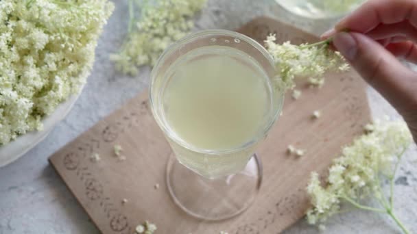Putting Fresh Elder Blossoms Glass Homemade Herbal Elder Flower Syrup — стоковое видео