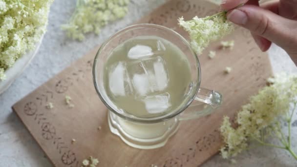 Decorating Glass Homemade Herbal Lemonade Fresh Elder Flower — Stock Video