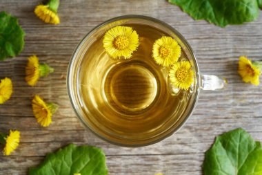 Taze kokarca ayağı ya da bir fincan bitkisel çayın içindeki Tussilago çiçekleri.