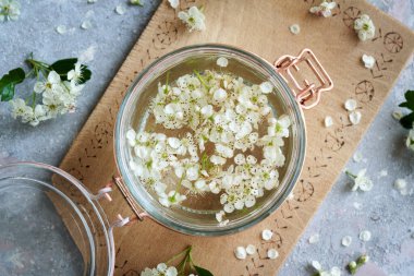 Taze dikenli çiçek ve alkolle dolu bir kavanoz, bitkisel tentür hazırlamak için, üst görünüm