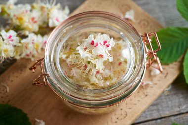 Baharda taze at kestanesi çiçeklerinden bitkisel tentürlerin hazırlanması