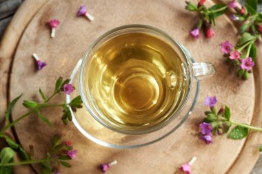 Bir bardak akciğer otu ya da Pulmonaria bitki çayı, en iyi görüntü.