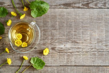 Taze Tussilago farfara çiçekleriyle bir fincan coltsfoot çayı ve fotokopi alanı ile ahşap arka planda yapraklar.