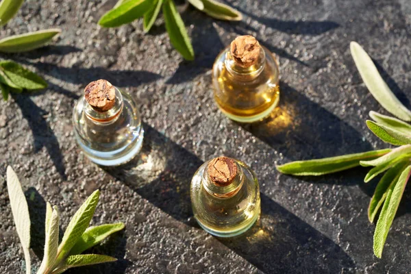 Три Пляшки Ефірної Олії Свіжими Гілочками Шавлії — стокове фото