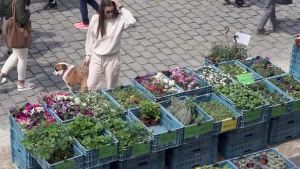 Prag Tjeckien Maj 2022 Kvinna Med Hund Shopping För Blommor — Stockvideo