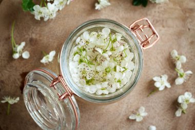 Taze dikenli çiçek ve alkolden bitkisel tentürlerin hazırlanması.