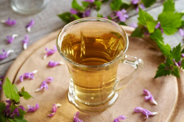 Fioletowa Martwa Pokrzywa Herbata Świeżą Kwitnącą Rośliną Lamium Purpureum — Zdjęcie stockowe