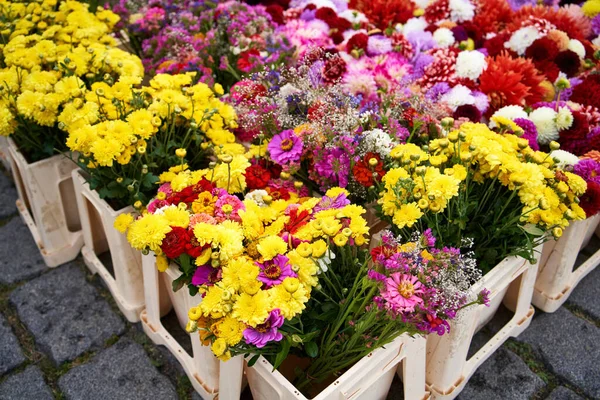 Friske Blomster Sælges Markedet Landmænd Efteråret - Stock-foto