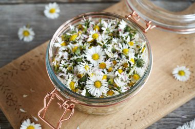 Taze papatya çiçeklerinden bitkisel şurup hazırlama