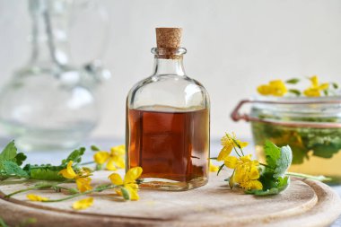 Bir şişe tetterwort tentürü ve masada taze çiçek açan Chelidonium Majus bitkisi.