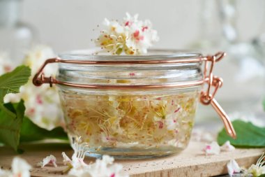 Taze at kestanesi çiçeklerinden bitkisel tentürlerin hazırlanması