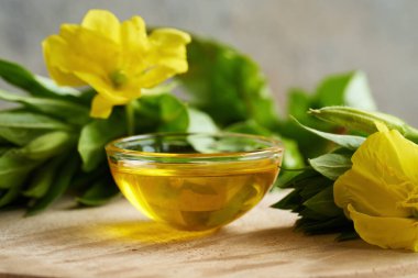 Taze çiçek açmış Oenothera biennis bitkisiyle bir kase çuha çiçeği yağı. 