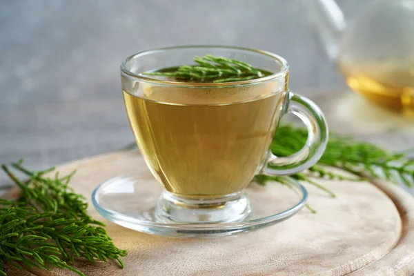 Чай Хвостом Свежим Растением Equisetum Arvense — стоковое фото