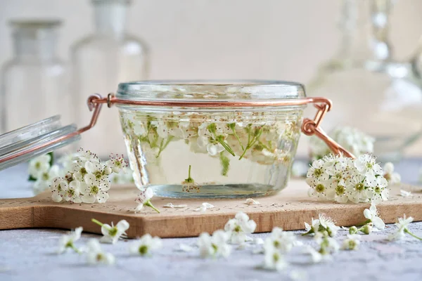 Glas Krukke Med Urte Tinktur Lavet Friske Tjørn Blomster Foråret - Stock-foto