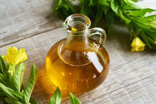 Une Bouteille Huile Onagre Avec Une Plante Fraîche Fleurs — Photo