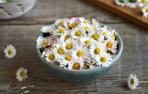 Közönséges Százszorszép Virágok Egy Tálban Asztalon — Stock Fotó
