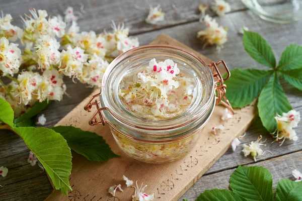 Preparation Herbal Tincture Fresh Horse Chestnut Blossoms Spring — Stock Fotó