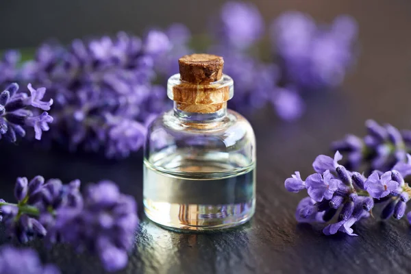 Transparent Bottle Essential Oil Fresh Lavender Flowers Dark Background — Foto de Stock