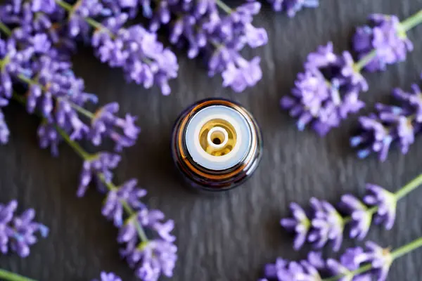 Een Dropper Fles Etherische Olie Met Frisse Bloeiende Lavendel Een — Stockfoto