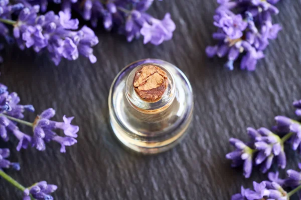 Bottle Essential Oil Fresh Blooming Lavender Black Background — Stockfoto