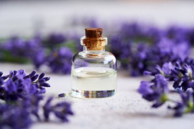 A bottle of aromatherapy essential oil with fresh lavender flowers     
