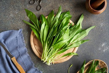Fresh young wild garlic or Allium ursinum leaves collected in spring on a wooden cutting board. Wild edible plant.