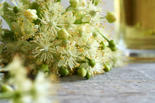 Close Fresh Linden Tilia Cordata Flowers Table June Cup Herbal — Stok fotoğraf