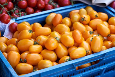 Fresh orange tomatos in a blue crate at the farmers market in the summer
