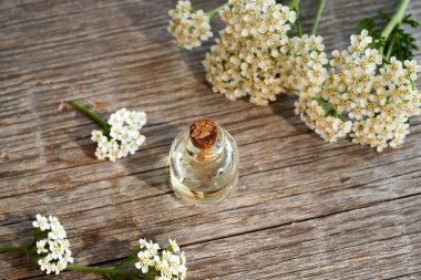 A bottle of aromatherapy essential oil with fresh yarrow flowers