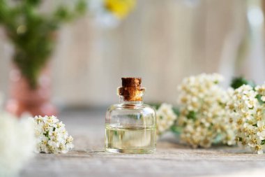 A bottle of aromatherapy essential oil with fresh blooming yarrow plant on a table