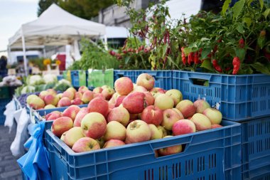 Sonbaharda çiftçi pazarında taze kırmızı ve sarı elmalar ve mavi sandıklarda kırmızı biberler.