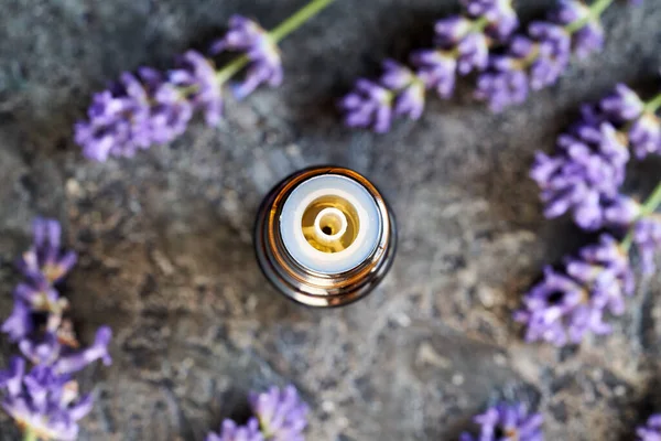 Een Donkere Fles Aromatherapie Etherische Olie Met Frisse Bloeiende Lavendel — Stockfoto