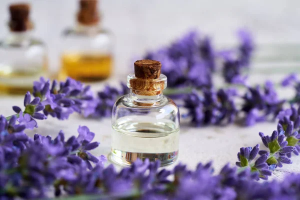Een Transparante Fles Aromatherapie Etherische Olie Met Verse Lavendelbloemen Witte — Stockfoto
