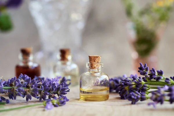 Una Botella Vidrio Aceite Esencial Aromaterapia Con Flores Lavanda Fresca — Foto de Stock